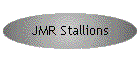 JMR Stallions